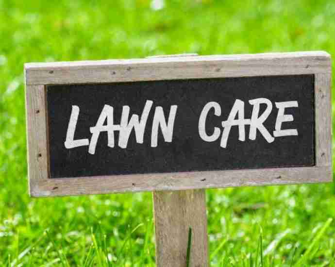 Lawn Care Products